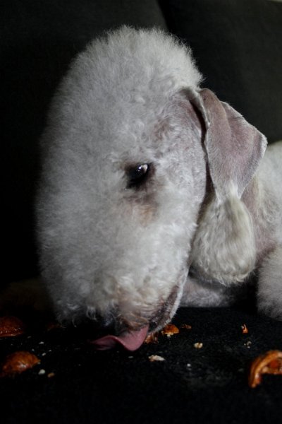 2010-11-14 Svet (23).jpg